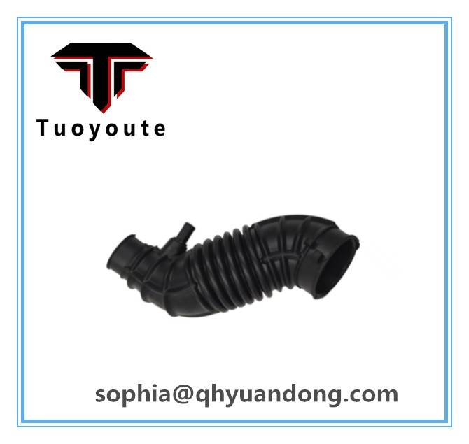 AIR INTAKE HOSE 28138-1M250