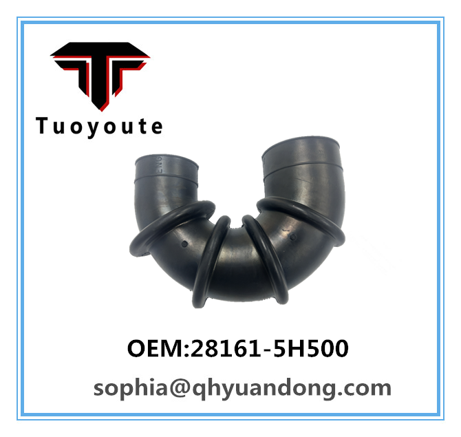 AIR INTAKE HOSE 28161-5H500