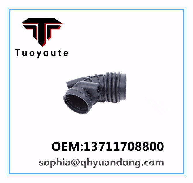 Air Intake Hose BMW OEM:13711708800