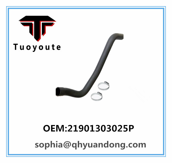 RADIATOR HOSE 21901303025p
