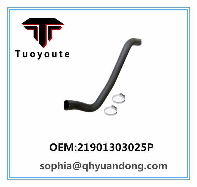 RADIATOR HOSE 21901303025p