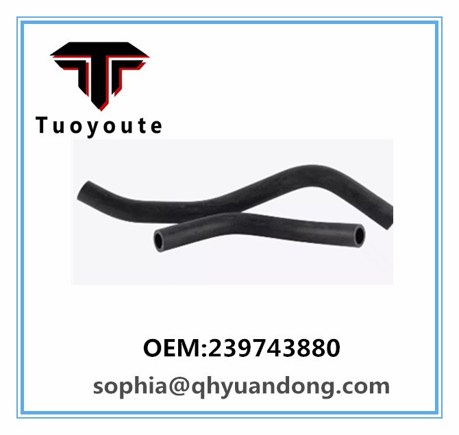 RADIATOR HOSE 239743880