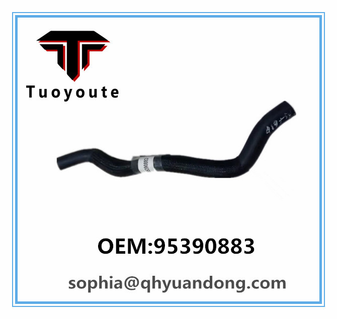 RADIATOR HOSE GM 95390883