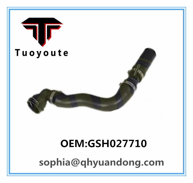 RADIATOR HOSE GSH027710