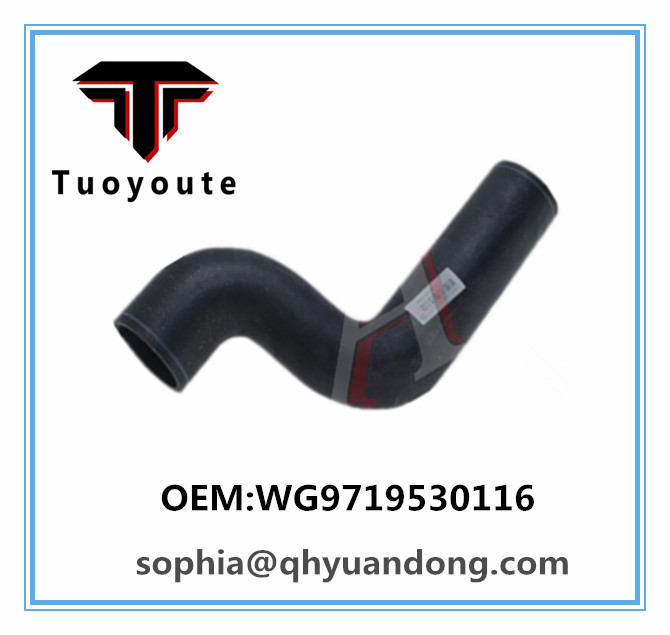 RADIATOR HOSE WG9719530116