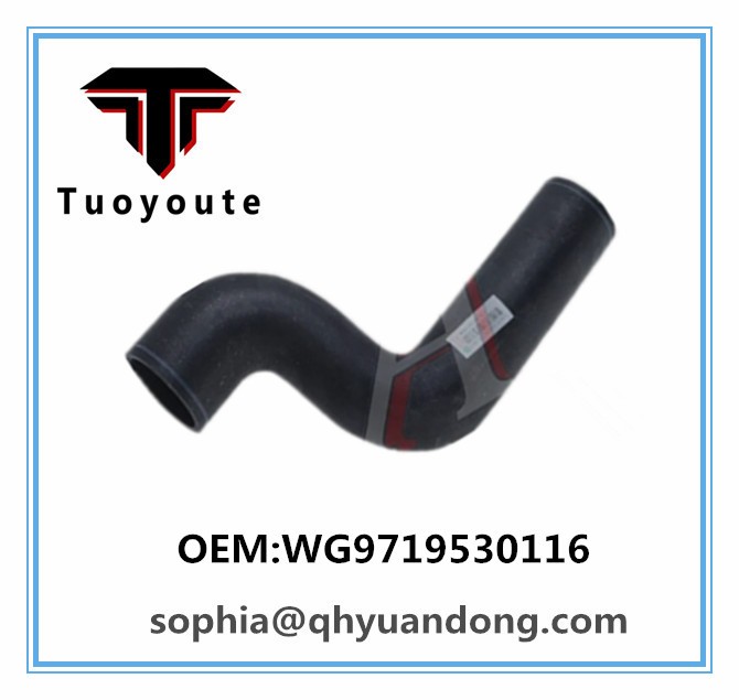 RADIATOR HOSE WG9719530116